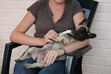 ADULTE ET CHIEN 510